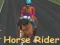 Spel Paardenrijder online