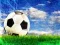 Spel Voetbalschuif online