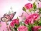 Spel Vlinders Puzzel online