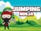 Spel Springende Ninja online