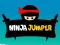 Spel Ninja Springer online