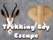 Spel Ontsnapping van de Trekkingjongen online