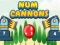 Spel Num Kanon online