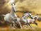 Spel Glijdende Hardlopende Paard online