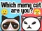 Spel Welke meme kat ben jij? online