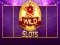 Spel Wilde Slot online Spel Wilde Slot online