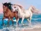 Spel Dieren Legpuzzel: Paarden online Spel Dieren Legpuzzel: Paarden online