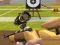 Spel Militaire Schiettraining online