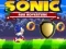 Spel Sonic Rennen Avontuur online