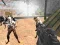 Spel Combat Strike Zombie Overleving Multiplayer online