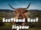 Spel Schotse rundvlees puzzel online