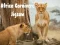 Spel Afrika Vleeseter Puzzel online Spel Afrika Vleeseter Puzzel online