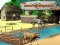 Spel Leeuw Simulator online