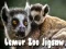 Spel Lemur Dierentuin Puzzel online