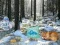 Spel Winterwonderland Bosavontuur online