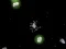 Spel MijnDroom Universum online Spel MijnDroom Universum online
