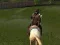 Spel Ertugrul Gazi Paard Sim online Spel Ertugrul Gazi Paard Sim online