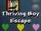 Spel Ontsnapping van de Bloeiende Jongen online