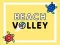 Spel Beachvolleybal online