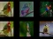 Spel Onthoud de vogels online