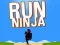 Spel Ren Ninja online Spel Ren Ninja online