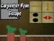 Spel Ontsnapping van Timmerman Ryan online