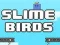Spel Slijmvogels online