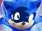 Spel Sonic Runners Avontuur online