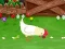 Spel Domme Kip online