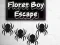 Spel Floret Jongens Ontsnapping online