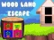 Spel Ontsnapping uit het bos online