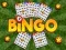 Spel Bingo Onthuld online
