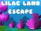Spel Ontsnapping uit de Lilaklanden online