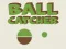 Spel Ballenvanger online