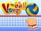 Spel Volleybal online