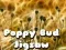 Spel Papaverknop Puzzel online