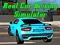 Spel Echte Auto Rij Simulator online