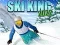 Spel Ski Koning 2022 online