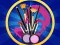 Spel Prinses Cosmetic Kit Fabriek online