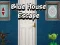 Spel Ontsnapping uit het blauwe huis online