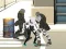 Spel Spiderman Strijder Online online Spel Spiderman Strijder Online online