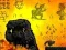 Spel Runner Izvolgar online Spel Runner Izvolgar online