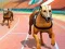 Spel Honden3D Races online