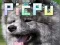 Spel PicPu Hond online