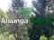 Spel Terug naar het Alsunga-bos online Spel Terug naar het Alsunga-bos online