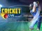 Spel Cricket Live online