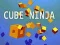 Spel Kubus Ninja online