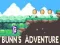 Spel Bunn's Avontuur online