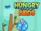 Spel Hongerige Vogels online