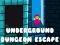 Spel Ontsnapping uit de Ondergrondse Kerker online Spel Ontsnapping uit de Ondergrondse Kerker online